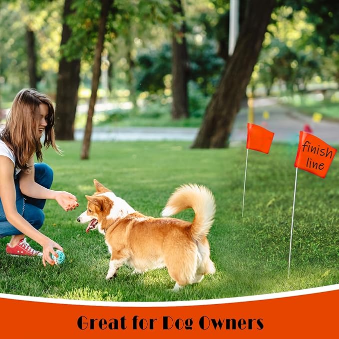 Zozen 100Pack Fluorescent Orange Marking Flags, Writable | Marker Flags - 15x4x5 Inch, Lawn Flags, Landscape Flags, Marker Flags for Lawn, Survey Flags, Irrigation Flags, Sprinkler Flags, Survey Flags.