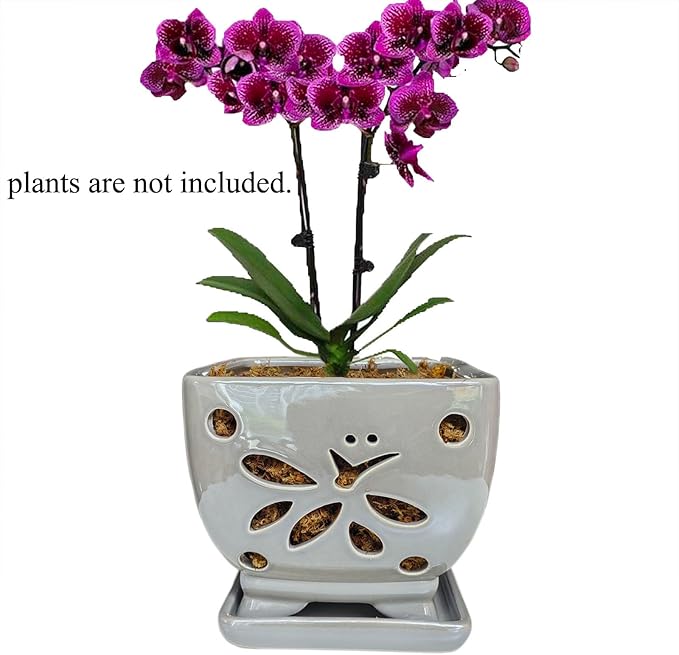 Orchid Pots with Holes Square Ceramic Orchid Planter Pots 5.5 inch (Gray)