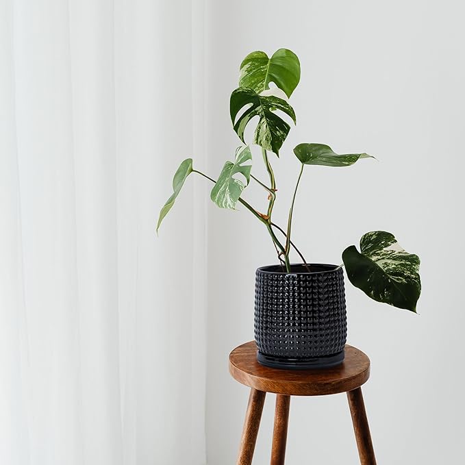 D'vine Dev 6 Inch 4 Inch Ceramic Indoor Planter Pots with Drainage Hole and Saucer, Beaded Design Flower Pots, Set of 2, Gloss Black, 27-D-U-2