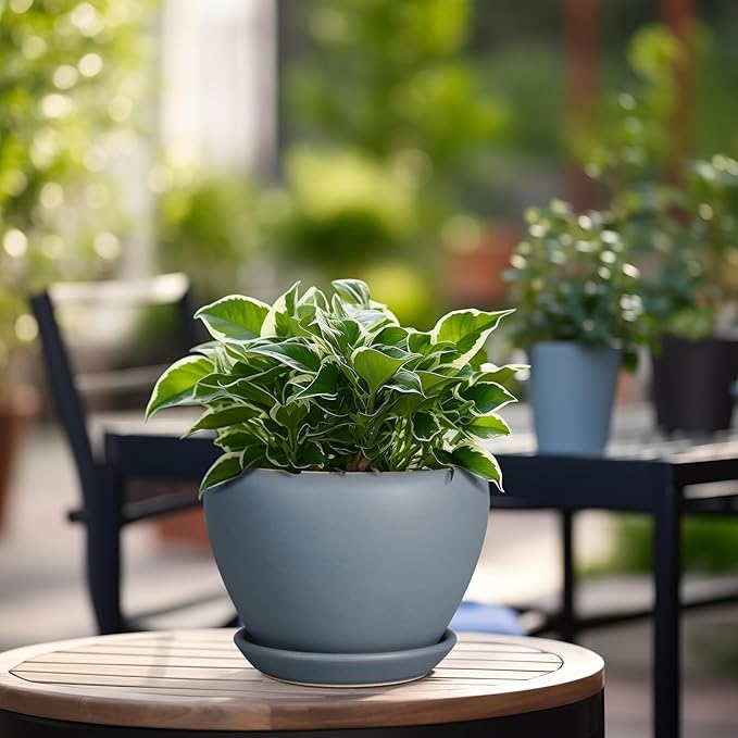 Ceramic Pot for Plants - 6 Inch Plant Pot Indoor with Drainage Hole and Saucer Decorative Planter for Outdoor Plants Modern Succulent Pots Round Flower Pots Gray