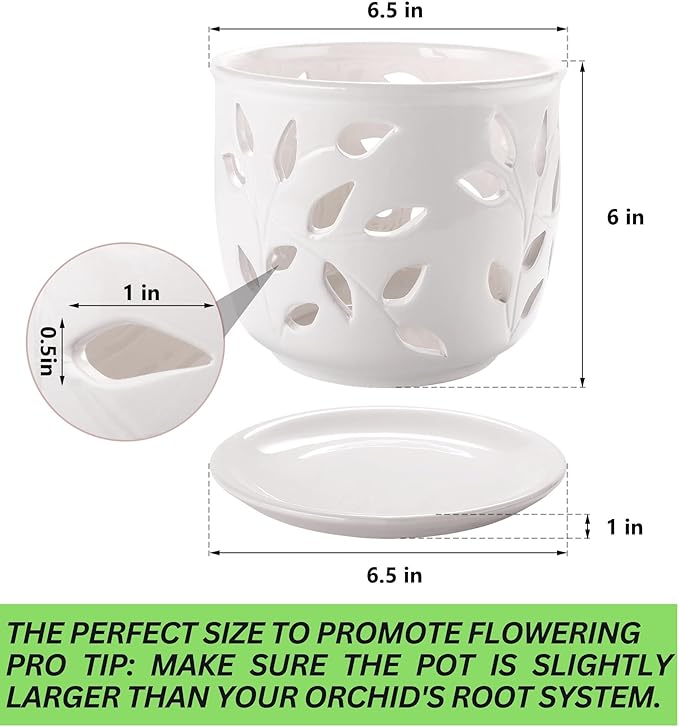 Orchid Pot with Holes & Saucer Ceramic 6.5 in. Indoor or Outdoor Large Pot for Orchid Care & Root Health with Precise Aeration & Drainage – Durable for Repotting or New Plants