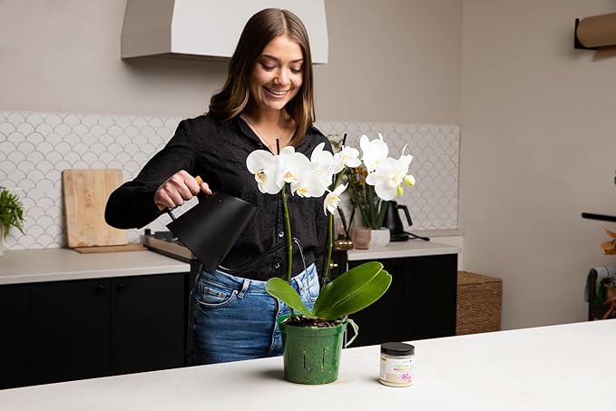 rePotme 8 inch Orchid Pot with Holes - 3 Pack of Slotted Orchid Pots (Crystal Clear) - All Purpose Planter for All Indoor Plants