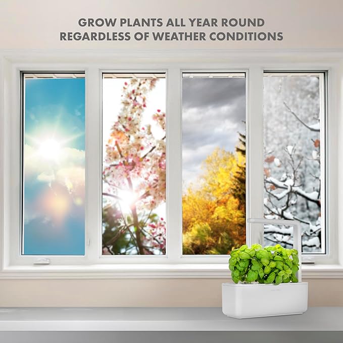 Click & Grow Indoor Herb Garden Kit with Grow Light | Smart Garden for Home Kitchen Windowsill | Easier Than Hydroponics Growing System | Vegetable Gardening Starter (3 Basil Pods Included), White