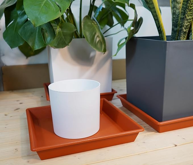 Square Plant Saucer 8 Inch 5 Pack, Plant Stand Plant Trays for Pots Heavy Duty Plastic Plant Saucers for Indoors Outdoors, Flower Pot No Holes Terracotta Plant Lover Gardening Gifts