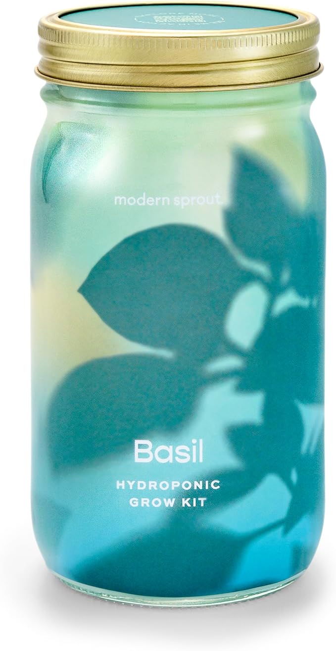 Modern Sprout Mason Garden Jar - Self-Watering Hydroponics Growing System Kit with Organic Herb Seeds - Jar Planter for Indoor Herb Garden - Seed Starter Kit - Home Decor & Gifting - Basil