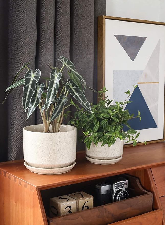 LE TAUCI Ceramic Plant Pots, 4.3+5.3+6.8 inch, Set of 3, Planters with Drainage Hole and Saucer, Indoor Flower Pot with Hole Mesh Pad, Gifts for Mom, Reactive Glaze Beige