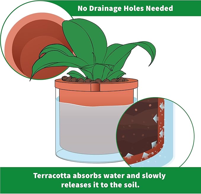 Phoenix Vine 10 Inch Self Watering Planter, White Terracotta Pot for Plants, Indoor Cylinder Terra Cotta Pot with Glass Vase