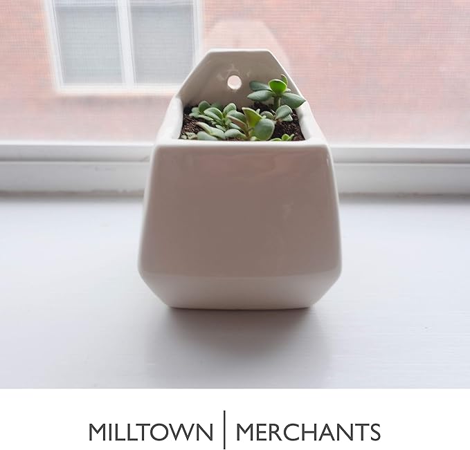Milltown Merchants Succulent Wall Planter - Black Ceramic Planter - Succulent Plant Pot - Hanging Vase for Living Wall (1 Pack/Contemporary/White)