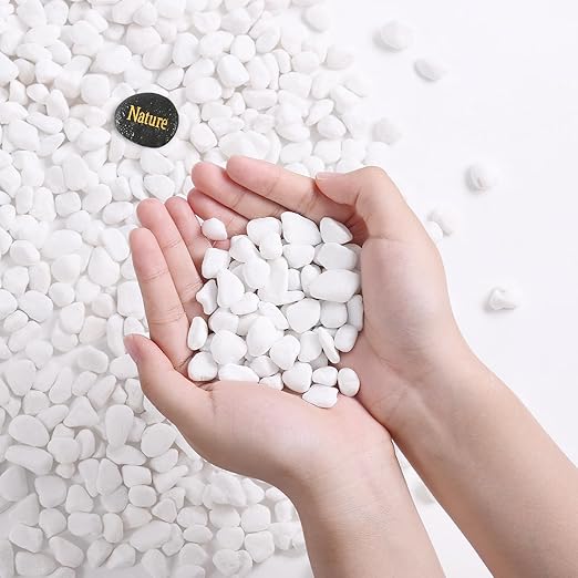 SIDONG 10 LB White River Rocks, 0.3-0.5 Inches Matte Pebbles for Indoor Plants, Aquarium Rocks Used in Fish Tank, Decorative Stones for Plants, Vases, Home Décor, Crafting, Garden Landscaping
