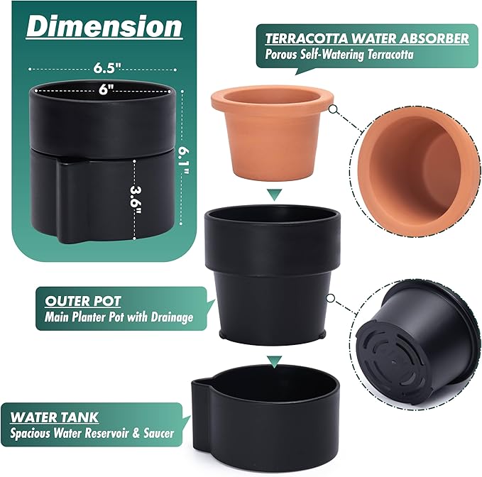 Phoenix Vine 6.5 Inch Self-Watering Planter Pot with Terracotta Insert, Deep Water Reservoir, and Ceramic-Alike BPA-Free Plastic Planter Pot for Plant, Modern Planter for Houseplants, Black, 53-A-S-2