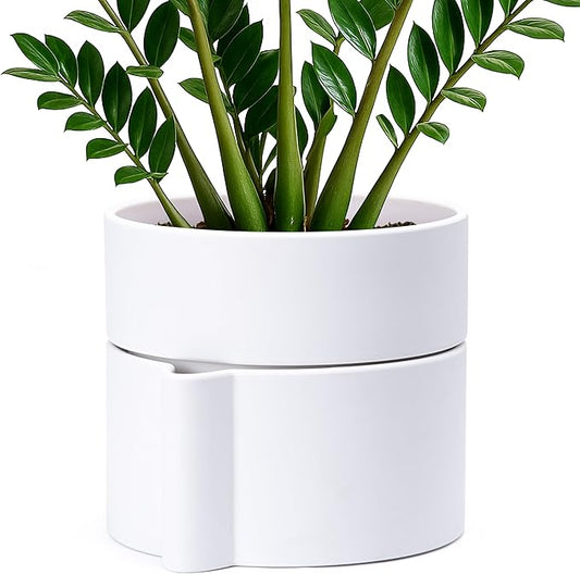 Phoenix Vine 8 Inch Self-Watering Planter Pot with Terracotta Insert, Deep Water Reservoir, and Ceramic-Alike BPA-Free Plastic Planter Pot for Plant, Modern Planter for Houseplants, White, 53-A-T-1