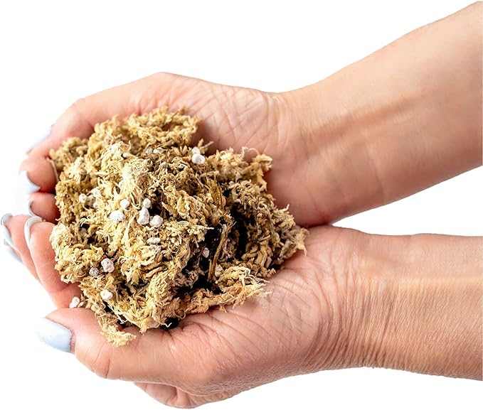 Sphagnum Moss Potting Mix for Carnivorous Plants, Moss and Perlite Blend for Potting Venus Fly Traps, Sarracenia, Pitcher Plants - 75% Sphagnum Moss + 25% Perlite - Made in USA - 3 Quart