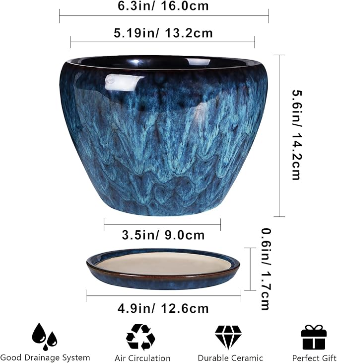 Ceramic Modern Glaze Succulent Planter Pot with Drainage Hole and Saucer 6 Inch Round Flower Plant Pot for Indoor Outdoor Herb Snake Plants