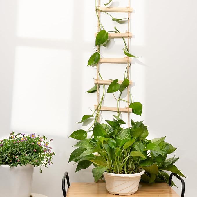 Sturdy Climbing Plants Trellis - Natural Wood Ladder Design for Indoor & Outdoor Use, Easy Installation, Reliable Support for Vines & Climbers, Modern Home Decor, Durable Plant Support System