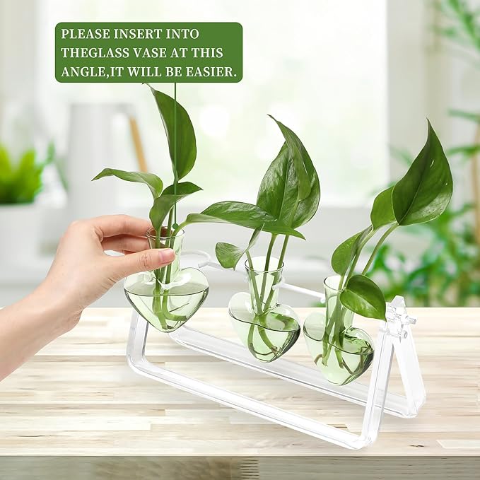Plant Terrarium Propagation Stations with Wooden Stand Birthday Gifts for Women Plant Stand Indoor Office Home Decor