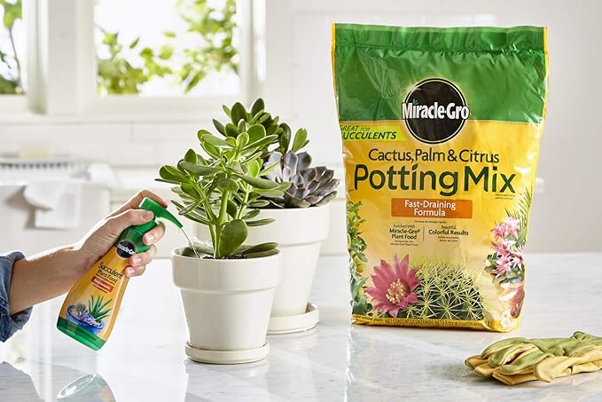 Miracle-Gro Cactus, Palm & Citrus Potting Mix and Succulent Plant Food - Bundle of Potting Soil (8 qt.) and Liquid Plant Food (8 oz.) for Growing and Fertilizing Indoor Succulents