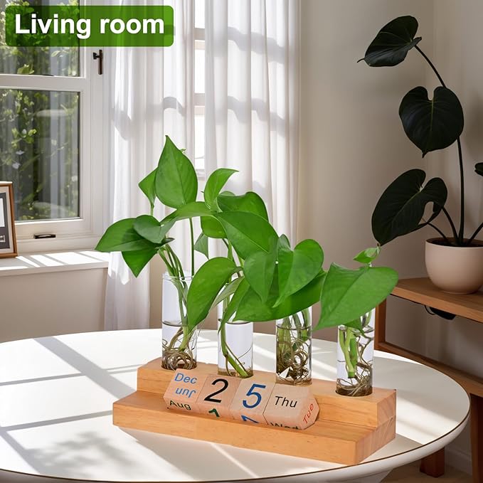 Propagation Vases for Plants, with Block Calendar for Desk, for Home and Desk Decor, Perfect Gardening Gifts for Women, Mom, Teacher, Horticulturist (Dark Wood Color)