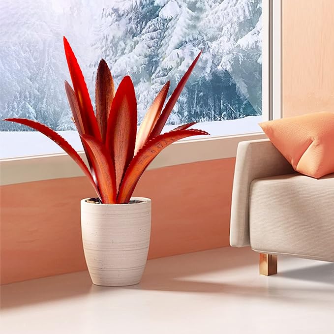 Enlarge Thickened Wind Resistant Metal Agave Garden Art Metal Plant Country Garden Sculpture Statue Outdoor Decoration Agave Metal Plant Courtyard Garden Lawn Ornament Gift (2, 12 Leaves red)