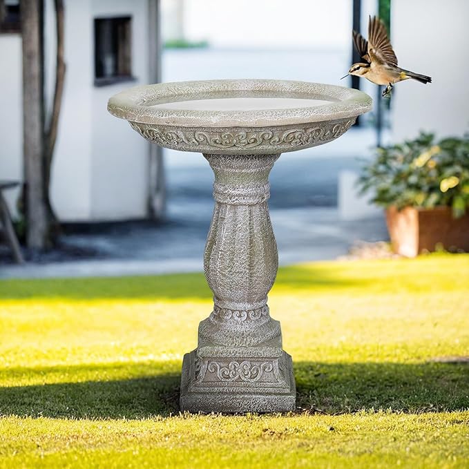 SunJet 23.8 Inch High Concrete Bird Bath with Carved Pedestal – Birdbath Sturdy & Elegant Design, Stone-Like Texture, Attracts Birds and Enhances Garden, Patio, Yard, Lawn Decor