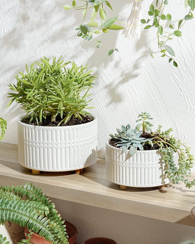 LE TAUCI Succulent Pots, 6.5+8 Inch Ceramic Indoor Plant Pot with Drainage Hole, Modern Round Decorative Flower Pot, Set of 2, Matte White