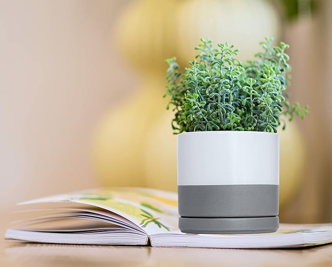 D'vine Dev Set of 2 Plants Pots, 4.6 Inch Ceramic Planter Pot for Plants with Drainage Hole and Saucer, White/Speckled Grey, 94-V-B-6