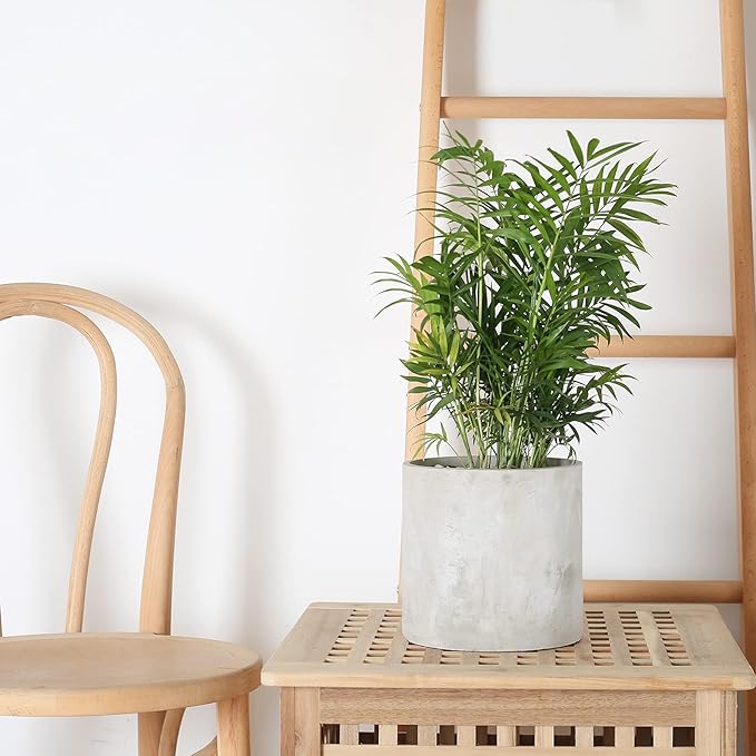 Plant Pots - 8.6 inch Cement Planters Indoor - Modern Grey Flower Pot with Drainage Hole - Home Office Decor