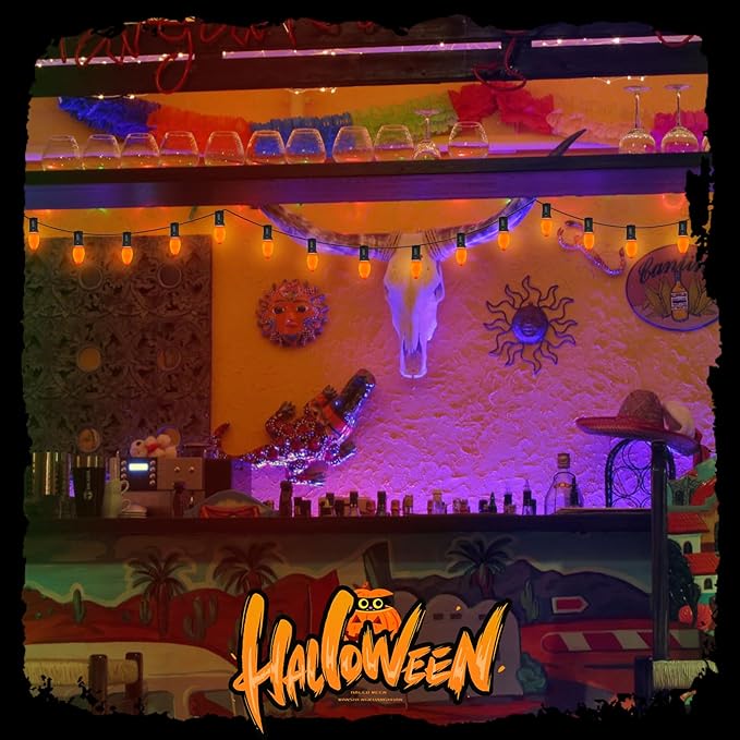 C7 LED Outdoor Halloween Lights 25Ft Orange Christmas String Lights with 27 Shatterproof Orange LED Bulbs, Hanging Outdoor Patio Lights for Christmas Halloween Party Patio Wedding Holiday Decoration