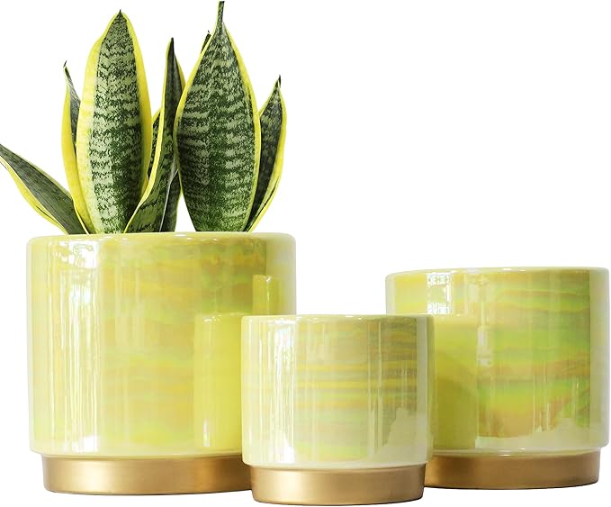 Gepege Indoor Pots for Plants, Ceramic Planter with Drainage Hole, 6.0 inch+5.0 Inch+4.0 Inch. Succulent Orchid Flower Pot - Rainbow Pearl Glaze