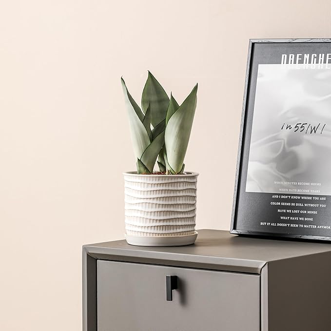 5.8 Inch Plant Pot: Ceramic Planter with Drainage Hole & Saucer - Cream White Flowerpot for Indoor & Outdoor Plants - with Separate Tray for Home & Office - Wave Embossed Design