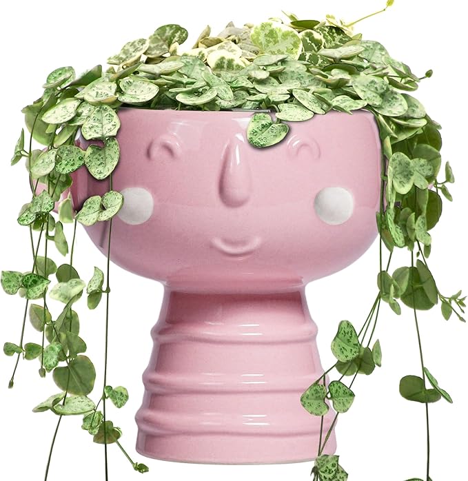 Smiley Face Planter - 7 Inch Ceramic Head Planter for Indoor Outdoor Plants, Cute Succulent Pots with Drainage Hole, Decorative Flower Pots, Home Room Desk Decor, Birthday Gifts, Bright Pink