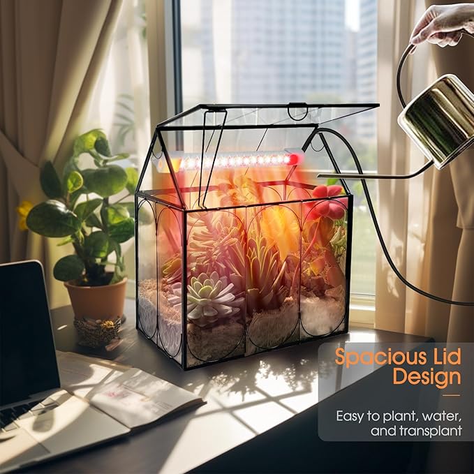 Plant Terrarium Kit with Grow Light, Rifny Large Glass Terrarium Jar with Absorbent Mat and Lid for Venus Fly Trap Succulent Live Air Plants Indoor Home Office Decor (Black, 8.9 x 5.9 x 9.9 inch)