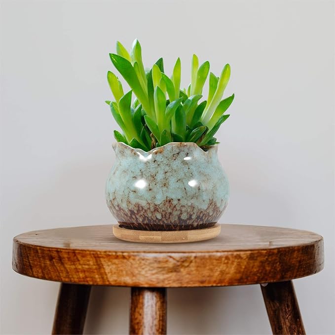 Laerjin Succulent Pots, 4 Inch Ceramic Plant Pots and Drainage Hole with Bamboo Tray, Colorful Flower Planter Pot, Pack of 6, Plants Not Included