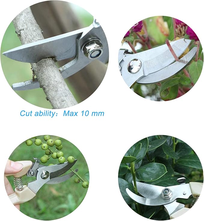 Curve Gardening Scissor with Sharp Stainless Steel Blade Garden Shears for Cutting Flowers Trimming Plants of Yard Florist Flower Rose Herb Hedge Bonsai and Fruits Picking