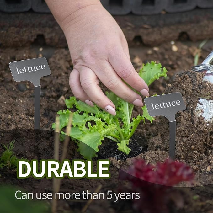 Stainless Steel Plant Labels, Metal Waterproof Plant Markers,Height 12.75 in, Label Area 2.5 in*1.25 in resuable Nursery Tags for Vegetables herb Flower Seed Green House- 20-Pack