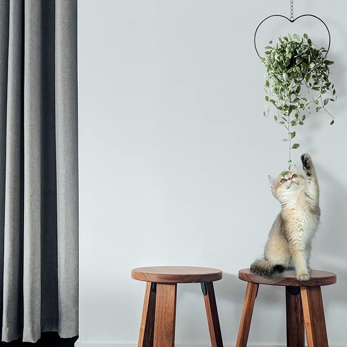 Hajia 2 Pack Heart Shaped Boho Hanging Plant Holder with 6inch Detachable Pot, Black Metal Wall Ceiling Plant Hanger for Indoor Outdoor, Minimalist Small Hanging Planter for Home Wedding Decor