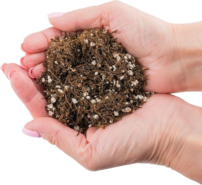 Fern + Perlite Soil Mix for Repotting and Planting Succulents and Cactuses - 5 Quart Bag
