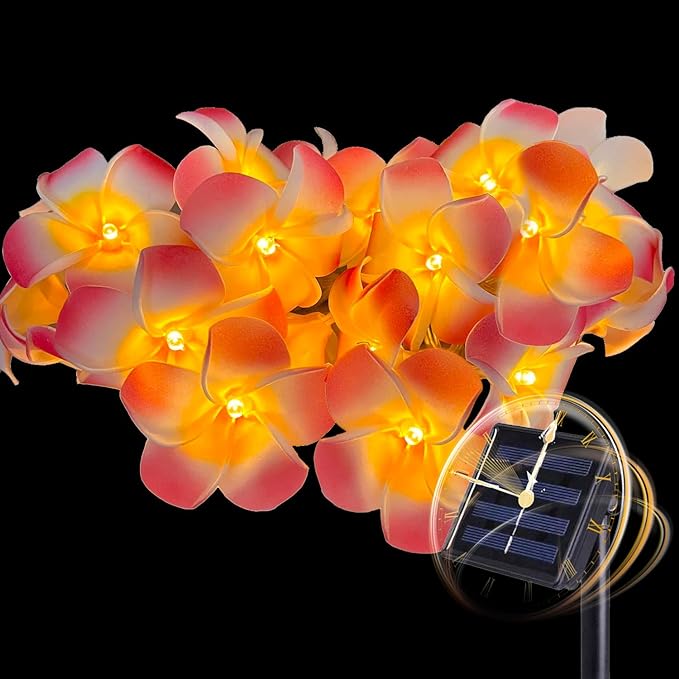 Solar Flowers Outdoor Waterproof - Petunia Blue Morning Glory Flowers&Solar Moth Orchid String Lights 12.5ft 10 LED Phalaenopsis Flower Solar Fairy Lights