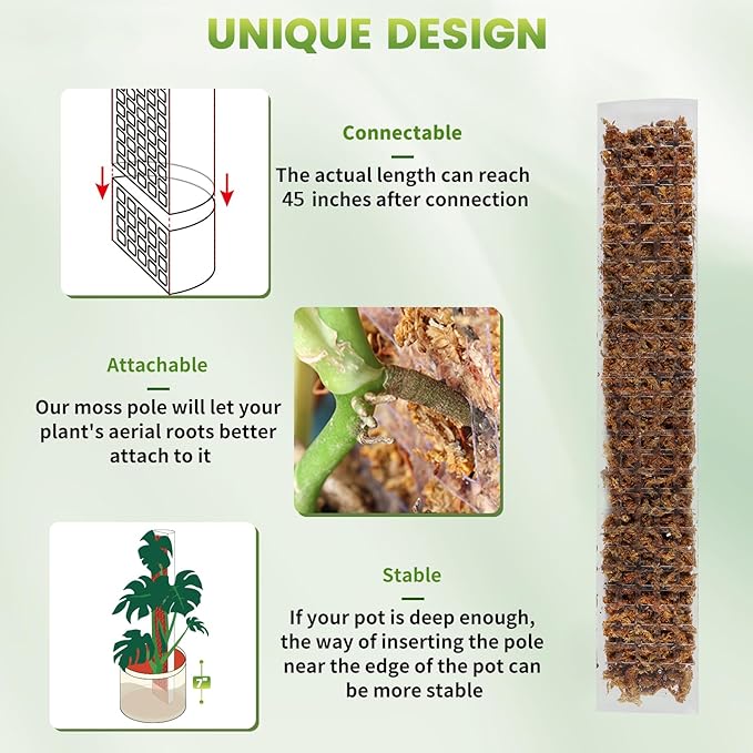 EOX 8 Pcs 24 Inch Plastic Moss Pole for Plants Monstera, Plant Poles for Climbing Plants, Plant Support for Indoor Plants Work with Sphagnum Moss, Garden Ties