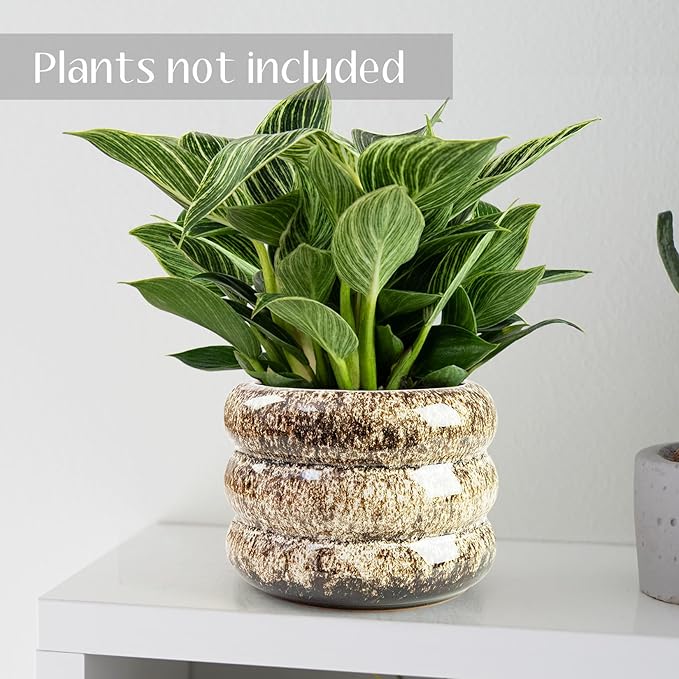 Ceramic 6 inch Plant Pot - Planter for Indoor Plants with Drainage Hole, Flower Pots for Orchid, Succulent,Outdoor Plants, Modern Glaze Planters for Home Office Decor Gift