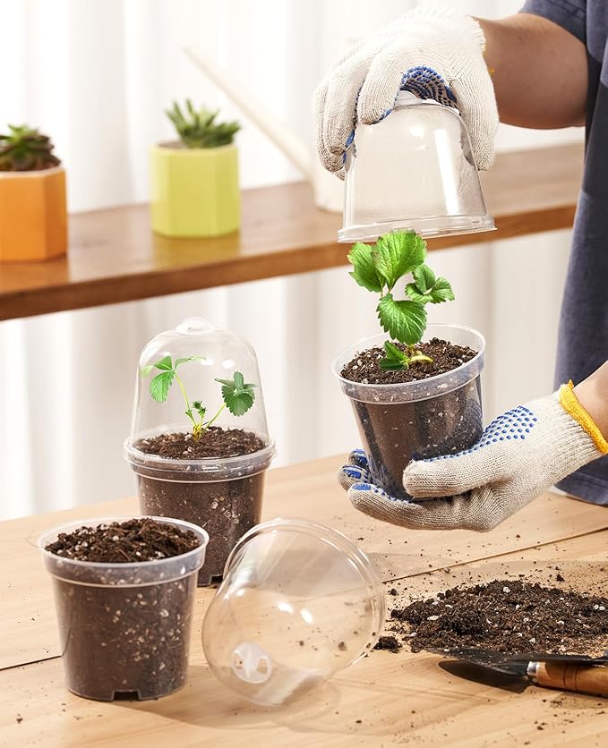 homenote Clear Nursery Pots for Plants,3/4/5 Inch Plant Pot for Planting with Humidity Domes Plastic Seedling with Drainage Holes Seed Starter Flower High Transparency (15 Pack)