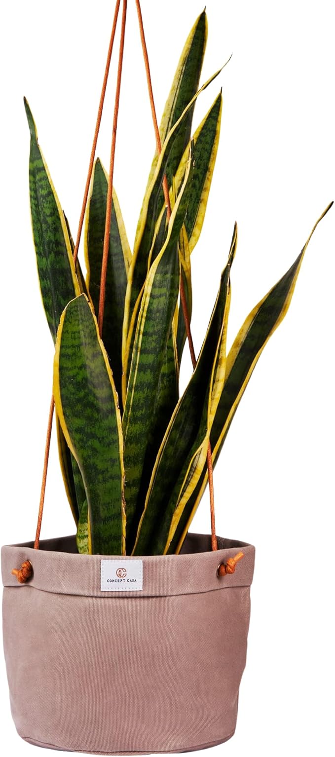 Large Waxed Canvas Handmade Hanging Planter for Indoor/Outdoor Plants, Hanging Basket Plant Holder Stone Gray