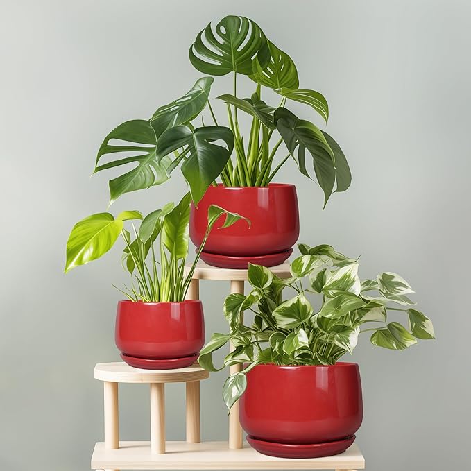 G EPGardening Ceramic Pot for Plants - 6 Inch Plant Pot with Drainage and Ceramic Tray, Modern Living Room Decor, Planter for Housewarming Gifts New Home, Red