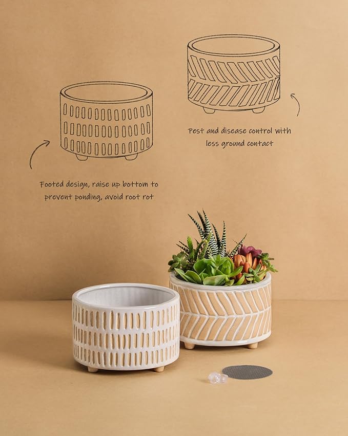Succulent Pots, 6 Inch Pot for Indoor Plants, Footed Pots for Plants with Drainage, Succulents or Small Plant Indoor Plant Pots, Set of 2