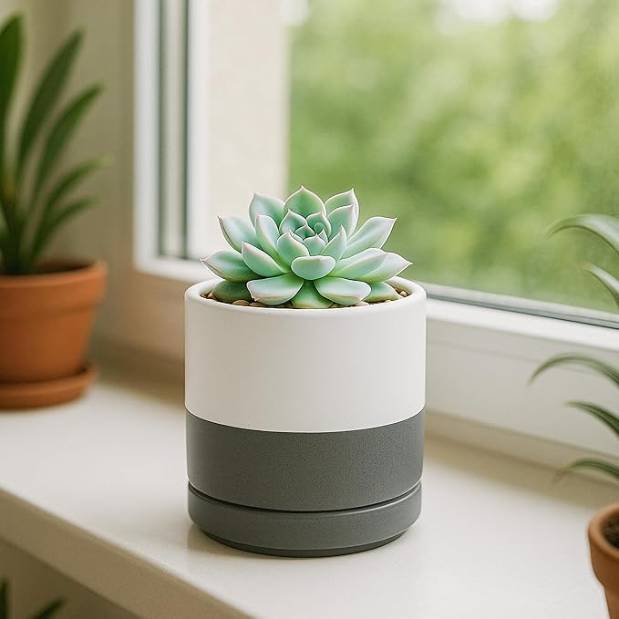 D'vine Dev Set of 4 Small Ceramic Plant Pots, 3.5 Inch Succulent Planter Pot for Plants with Drainage Hole and Saucer, White/Speckled Grey, 94-X-A-6