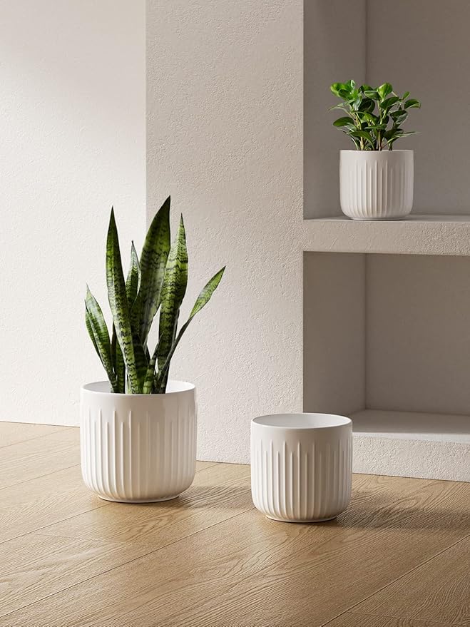 LE TAUCI Ceramic Planters, Set of 3 Plant Pots for Indoor Plants, 8.3+6.9+5.7 inch Flower Pots with Drainage Holes, Medium Cylinder Planters Pot for Indoor House Plants, White