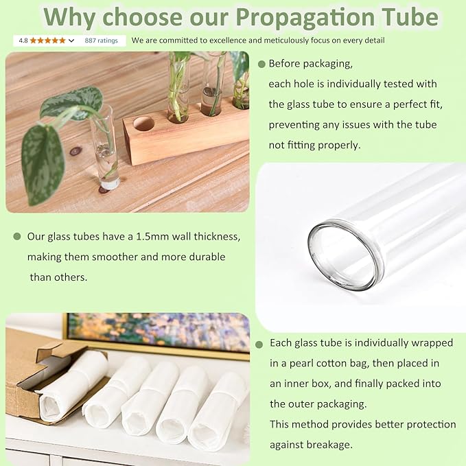 KAXYEW Plant Propagation Station, Plants Propagation Tubes, Gifts for Plant Lovers, Plants Cutting Holder Test Tube Vase Office Desk Garden Décor Gift for Her Mom Women Hydroponic Vase Gift Box