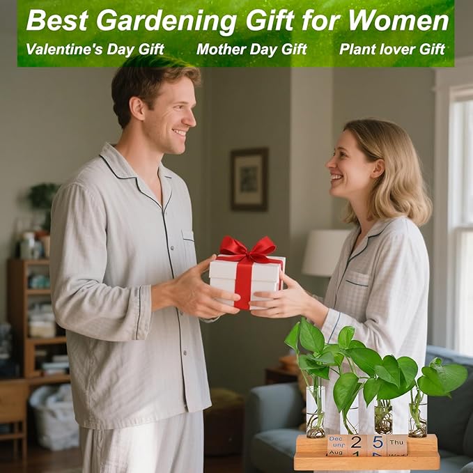 Propagation Vases for Plants, with Block Calendar for Desk, for Home and Desk Decor, Perfect Gardening Gifts for Women, Mom, Teacher, Horticulturist (Dark Wood Color)