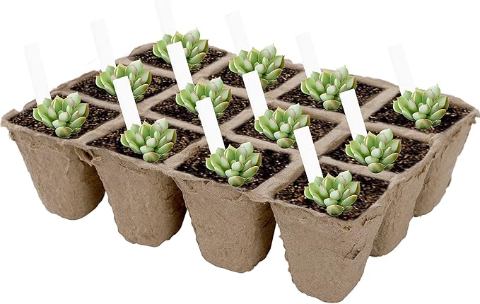 Jucoan 40 Pack Peat Pots Seed Starter Trays, 480 Cells Germination Seedling Pots, Organic Biodegradable Plant Germination Tray with 40 Plant Labels for Vegetable Flower, Herbs, Indoor Outdoor Garden