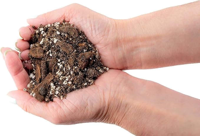 Premium Spider Plant Potting Soil Mix - (3 Quart Bag)