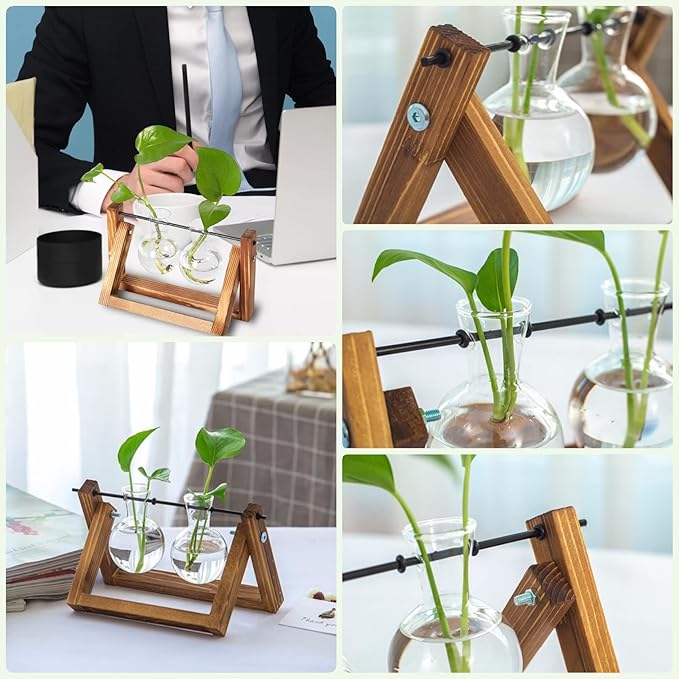 Kingbuy Glass Desktop Planter with Retro Wooden Stand and Plant Terrarium vase (2 Bulbs) for Indoor Office Desk Decor Accessories